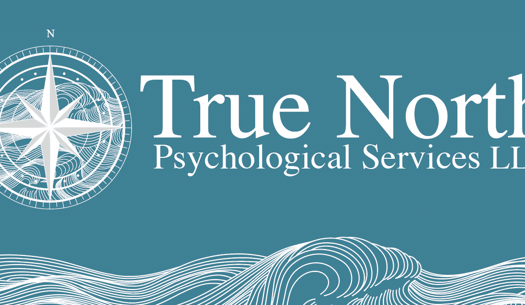 True North Psychological Services- Our Latest Client Success Story