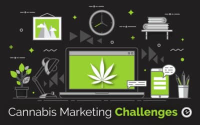 Cannabis Marketing in Connecticut