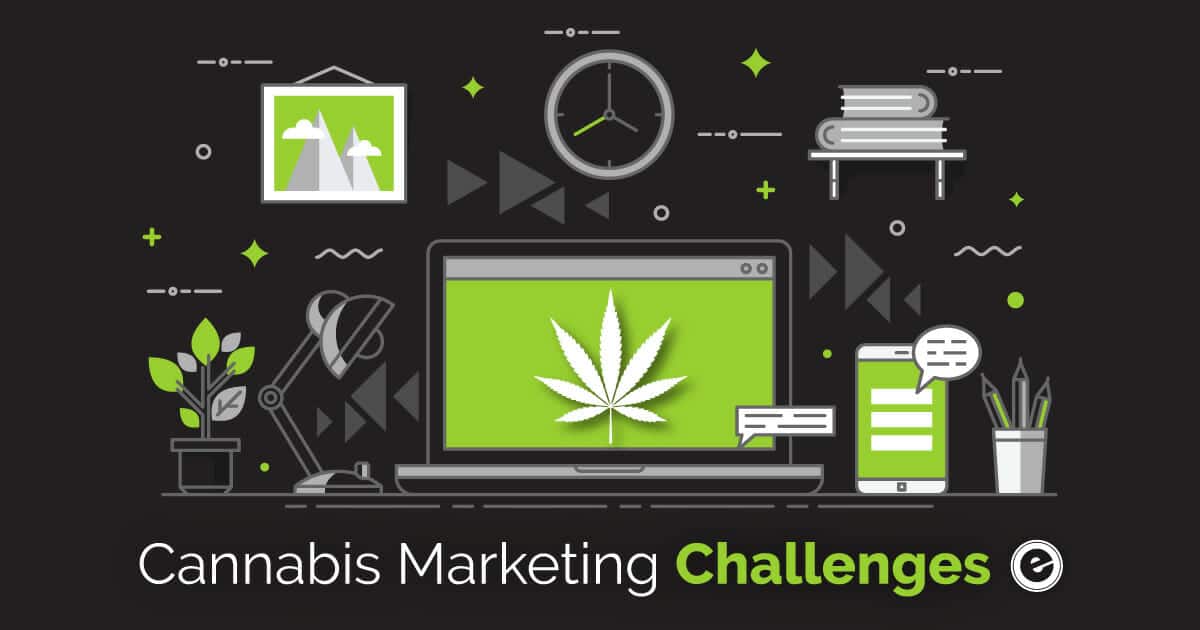 Cannabis-Marketing CT